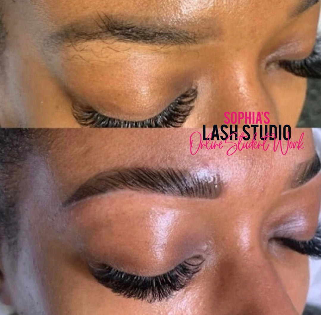 Online Brow Lamination Course